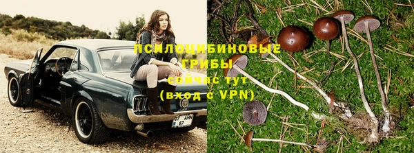 мяу мяу кристалл Бородино