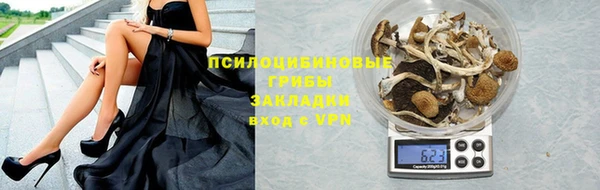 мяу мяу кристалл Бородино