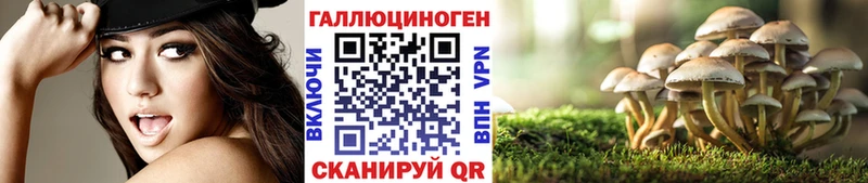 Галлюциногенные грибы прущие грибы  цены   hydra онион  Власиха 