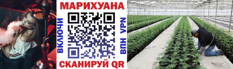 как найти Власиха площадка как зайти Каннабис Bruce Banner
